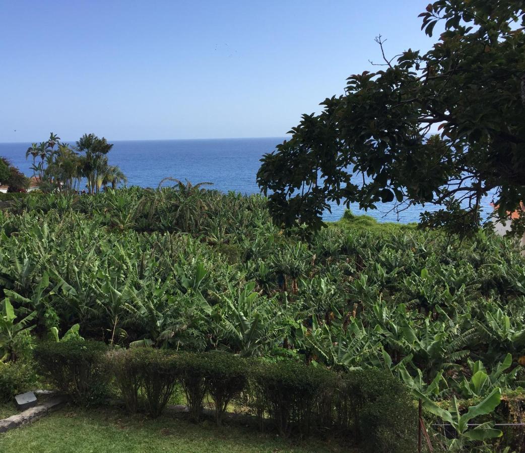 Chalet Tropical Arco da Calheta  Bagian luar foto